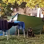 Orto Arcobaleno Chirignago-Zelarino