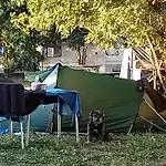 Agriturismo Orto Arcobaleno 营地