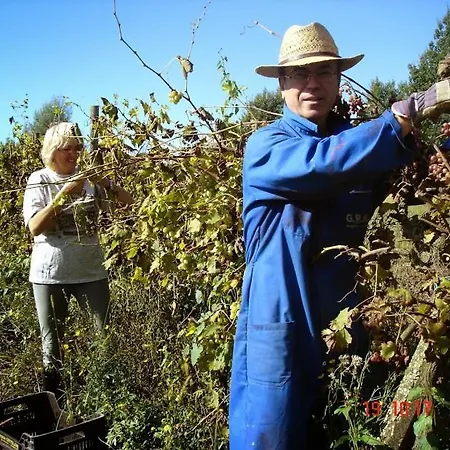 Ecogarden With