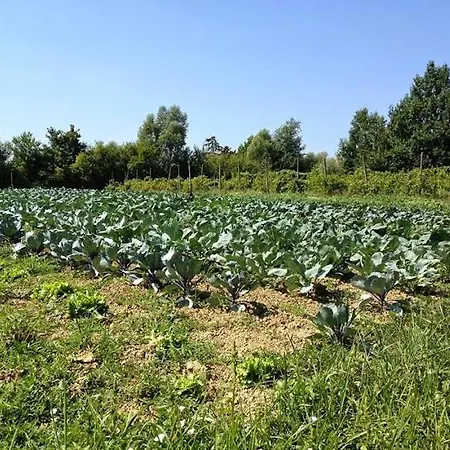 Ecogarden With Campeggio