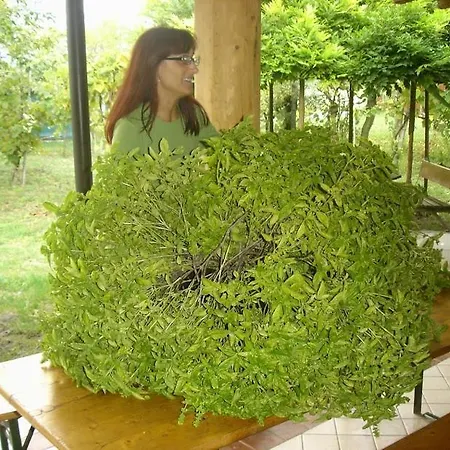 Campeggio Ecogarden With