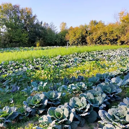 Ecogarden With Campeggio Chirignago-Zelarino