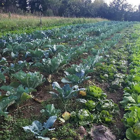 Ecogarden With Campeggio 3*