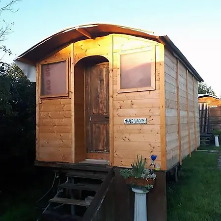 Ecogarden With Campingplads