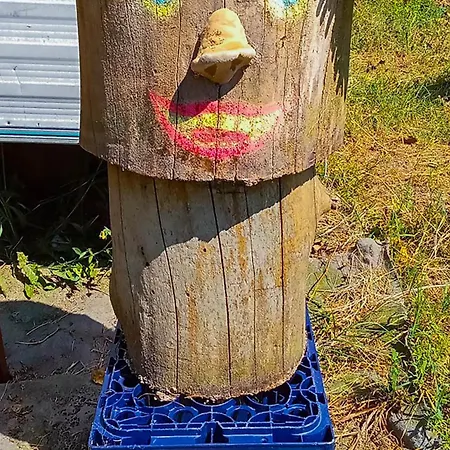 Ecogarden With Campeggio