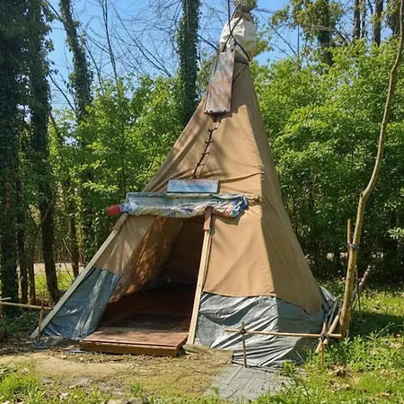 캠프장 Ecogarden With