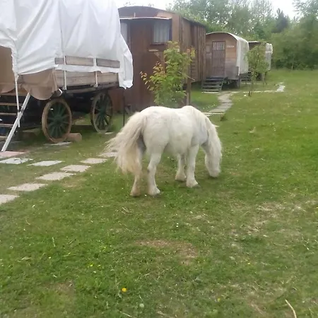 Кемпинг Ecogarden With