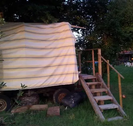 Ecogarden With