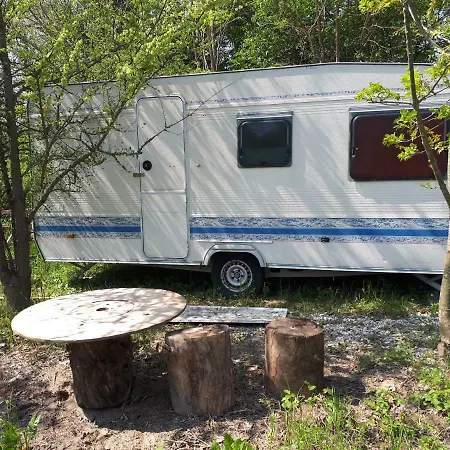 Кемпинг Ecogarden With