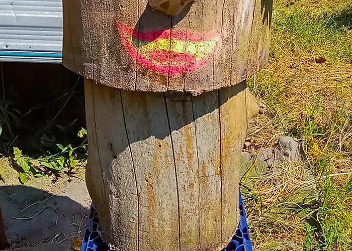 Ecogarden With אתר קמפינג