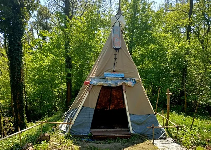 Ecogarden With