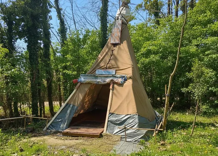 캠프장 Ecogarden With